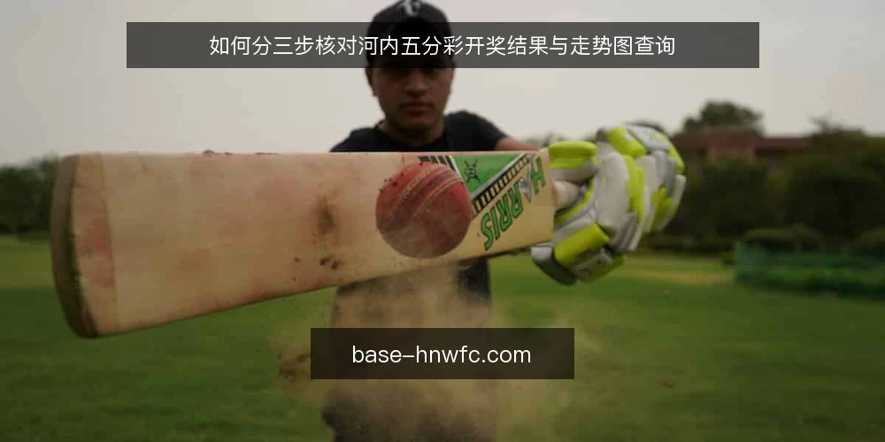 如何分三步核对河内五分彩开奖结果与走势图查询 — 准备：核对河内五分彩查询的输入与工具 配图